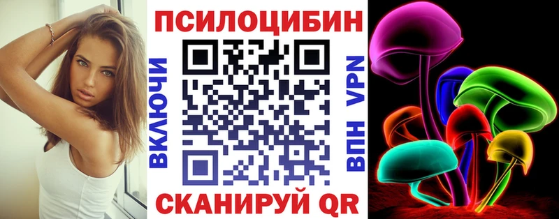 Галлюциногенные грибы Psilocybe  Сафоново 